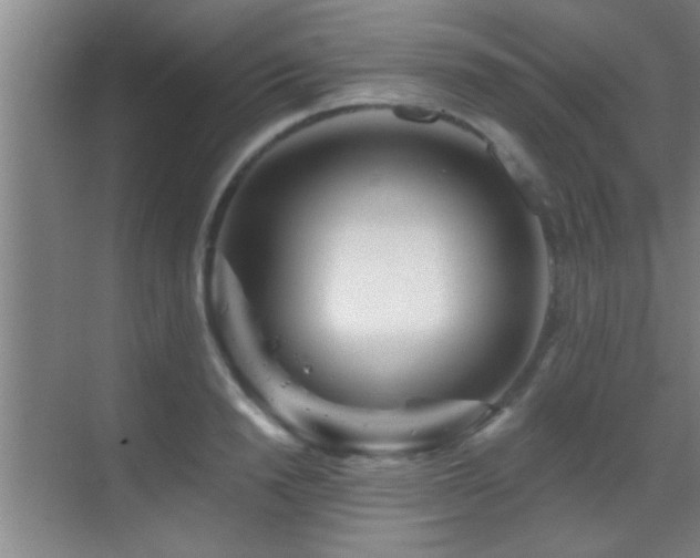 X0000069790846200605191036