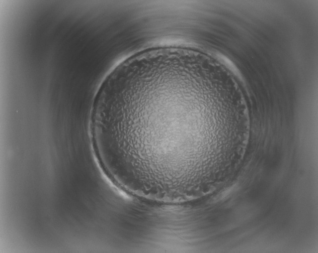 X0000069790847200605191036