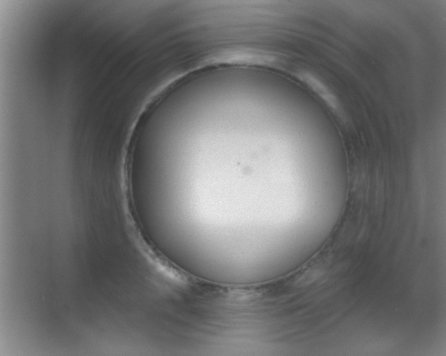 X0000069790848200605191036