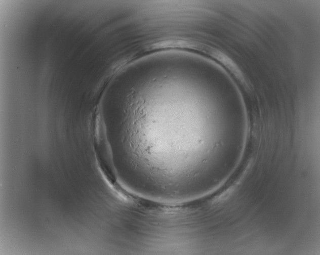 X0000069790849200605191036