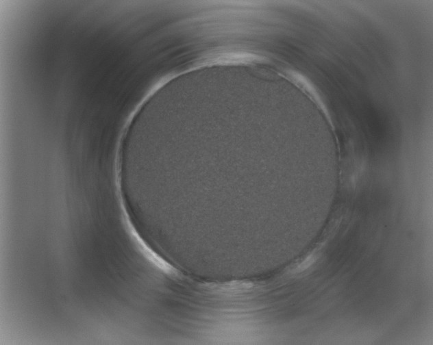 X0000069790851200605191036