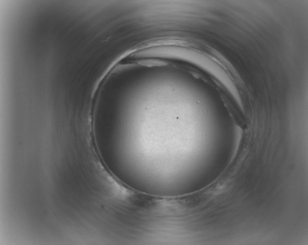 X0000069790852200605191036