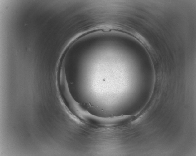 X0000069790854200605191036