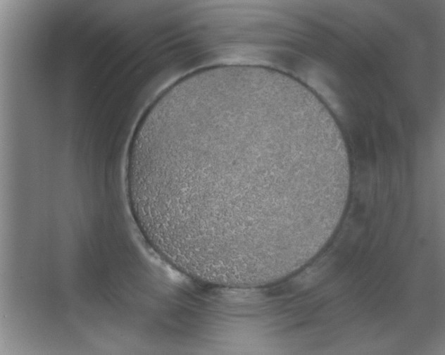 X0000069790856200605191036