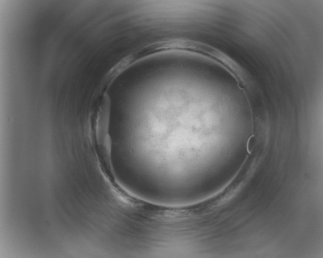 X0000069790857200605191036