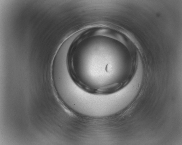 X0000069790858200605191036