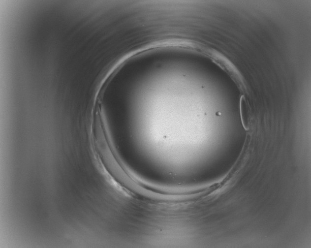 X0000069790860200605191036