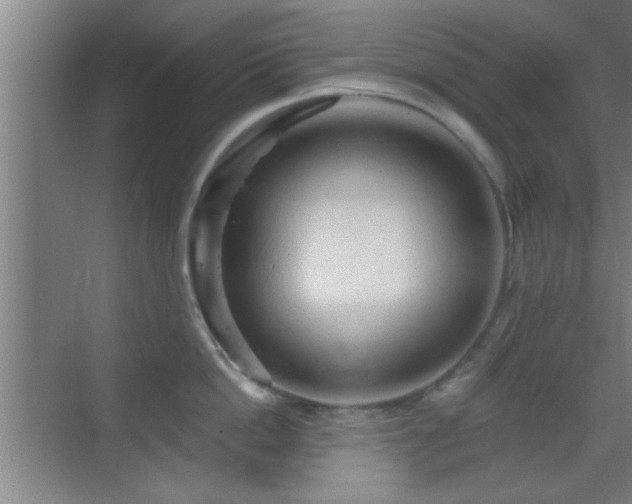 X0000069790862200605191036