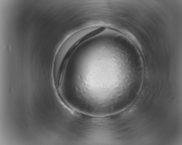 X0000069790863200605191036