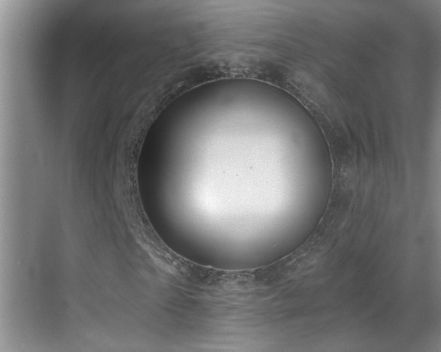 X0000069790865200605191036