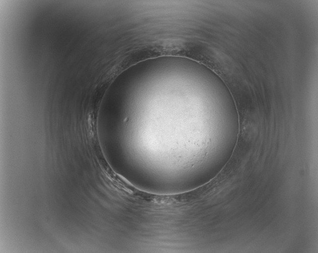 X0000069790866200605191036