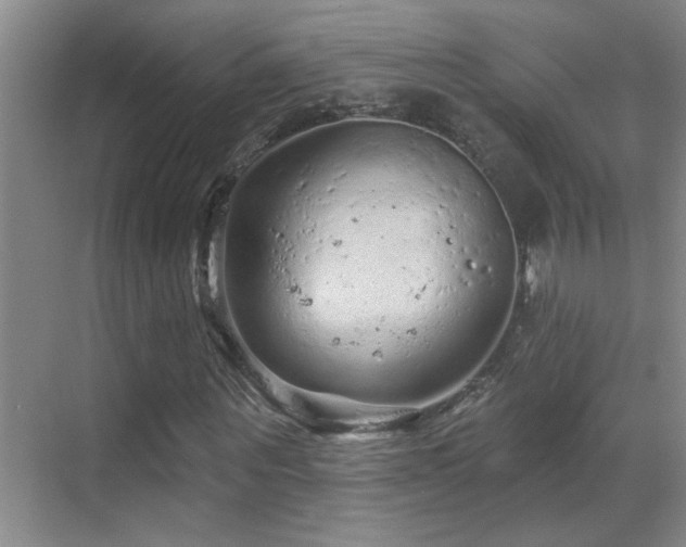 X0000069790867200605191036