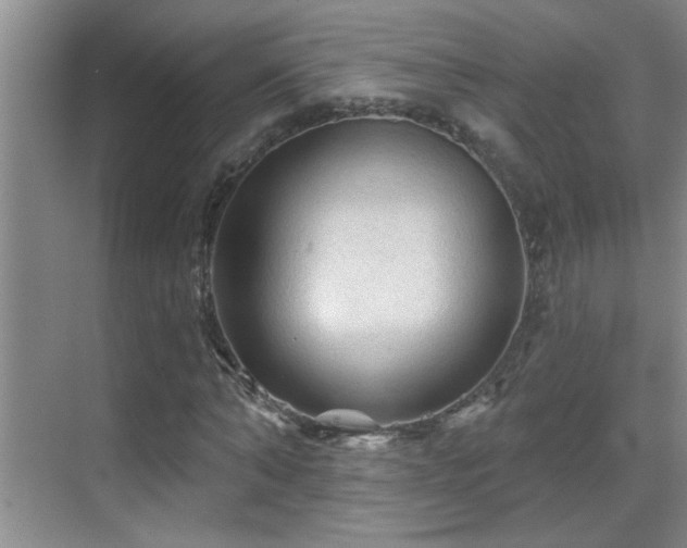 X0000069790870200605191036