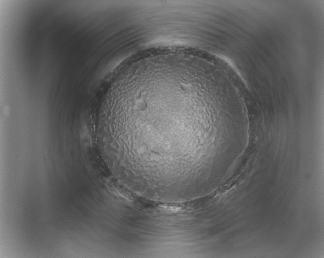 X0000069790871200605191036