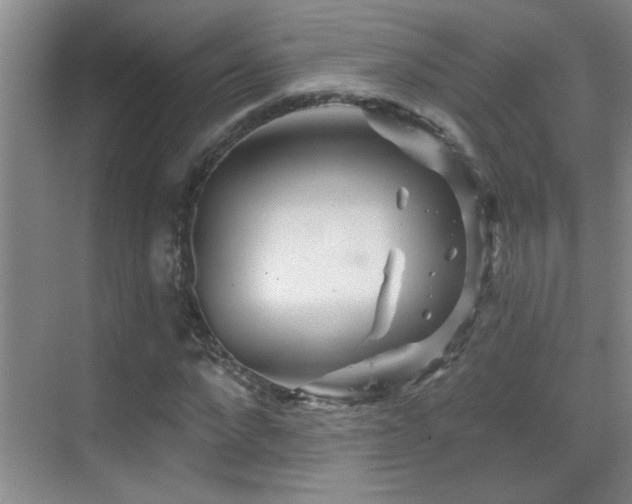 X0000069790872200605191036