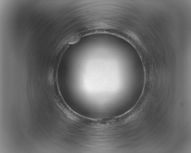 X0000069790873200605191036