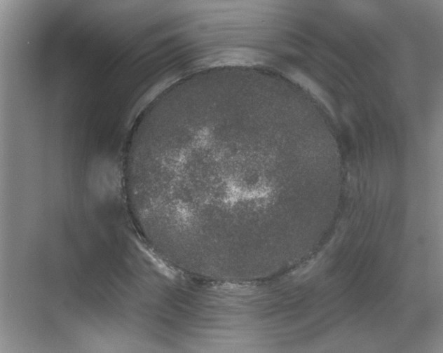 X0000069790874200605191036