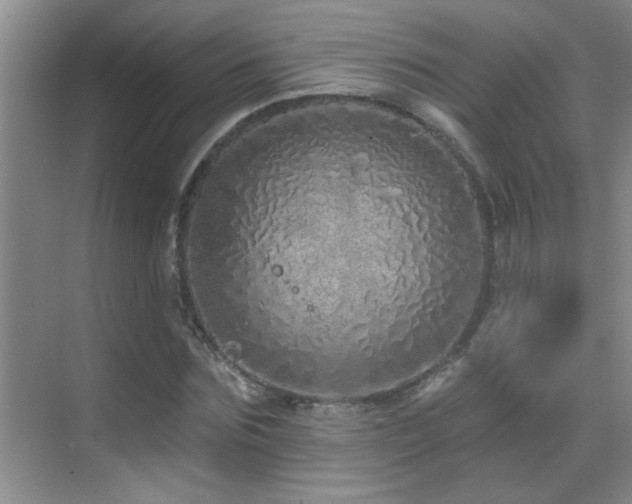 X0000069790875200605191036