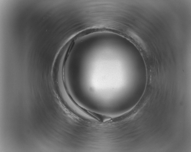 X0000069790876200605191036