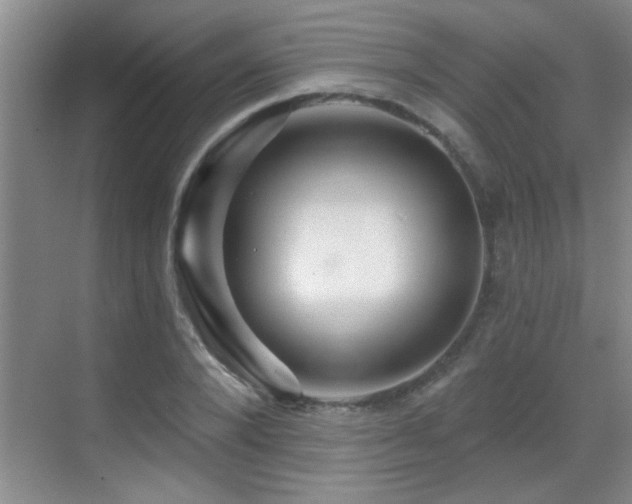 X0000069790880200605191035