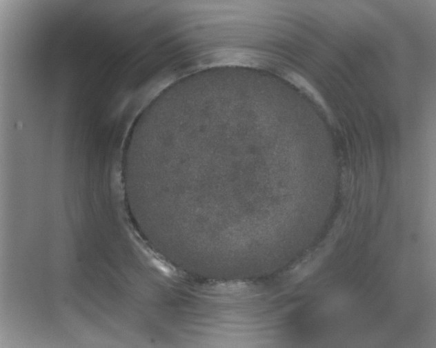 X0000069790882200605191035