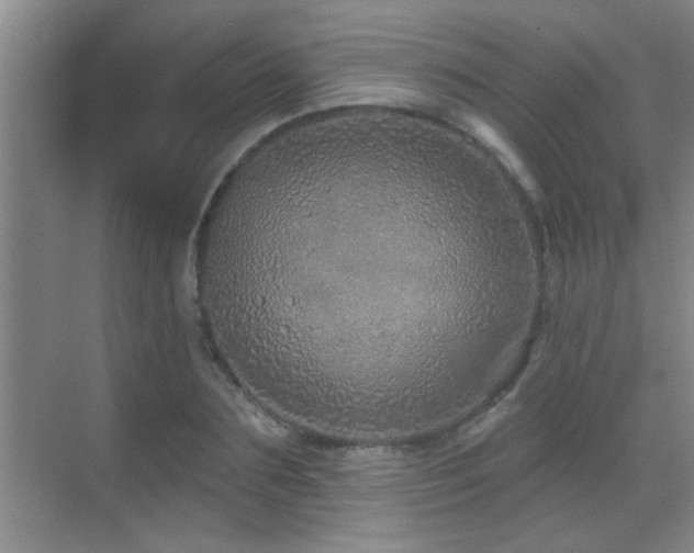 X0000069790883200605191035