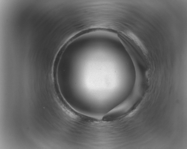 X0000069790884200605191035