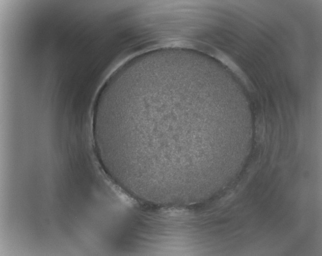 X0000069790886200605191035