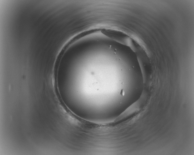 X0000069790888200605191035