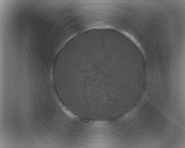 X0000069790889200605191035