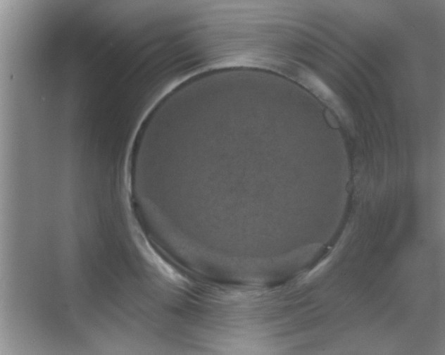 X0000069790892200605191035