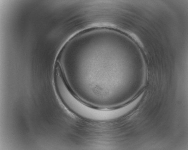 X0000069790895200605191035