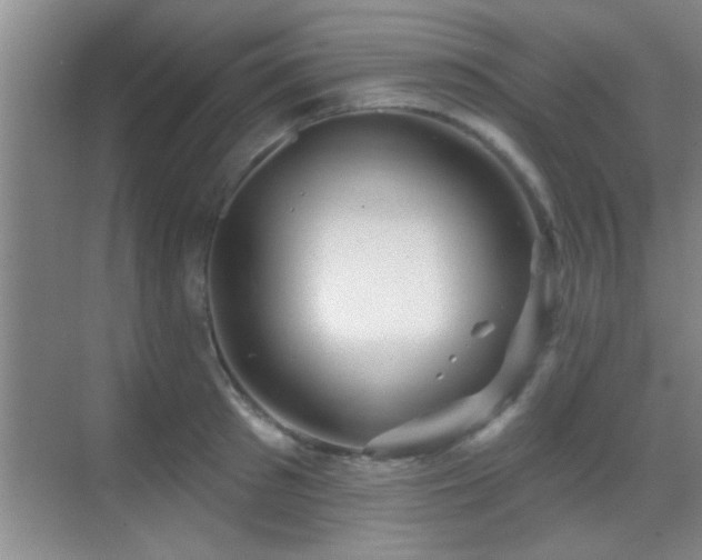 X0000069790897200605191035