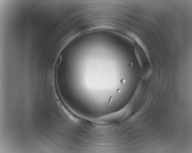 X0000069790898200605191035