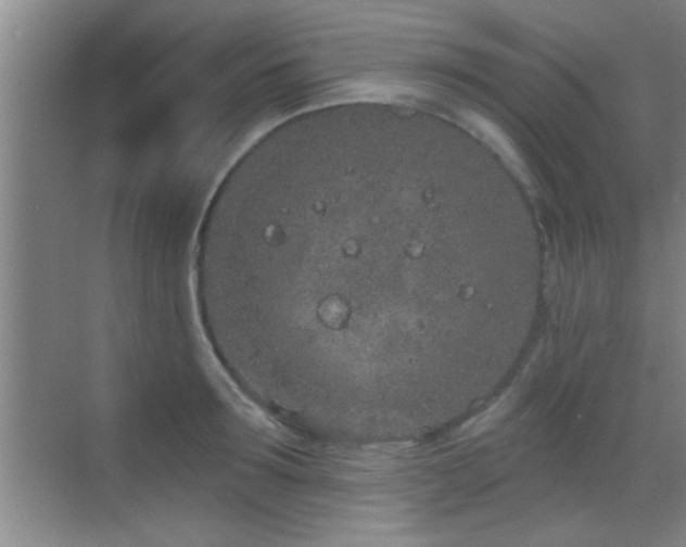 X0000069790899200605191035