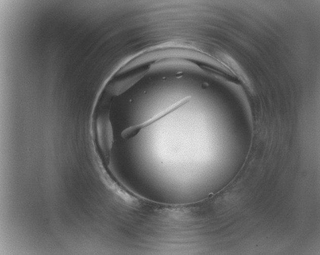 X0000069790900200605191035