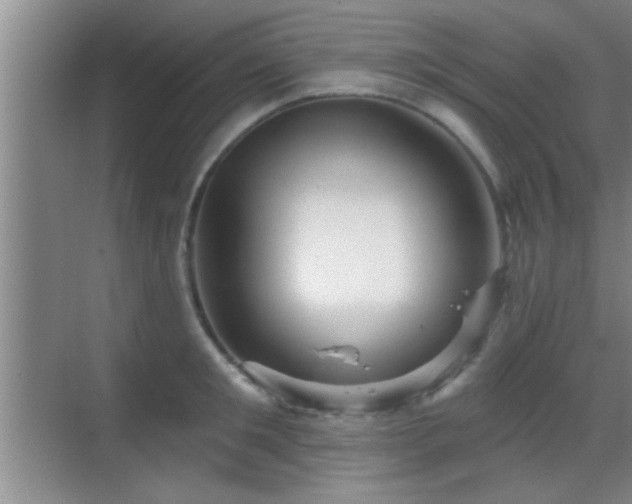 X0000069790901200605191035