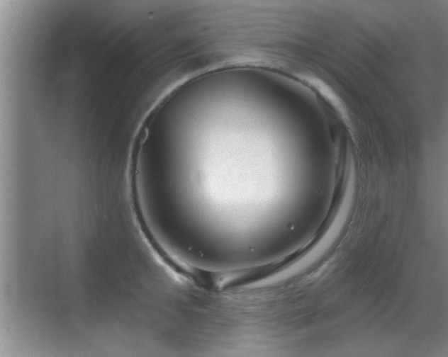 X0000069790902200605191035