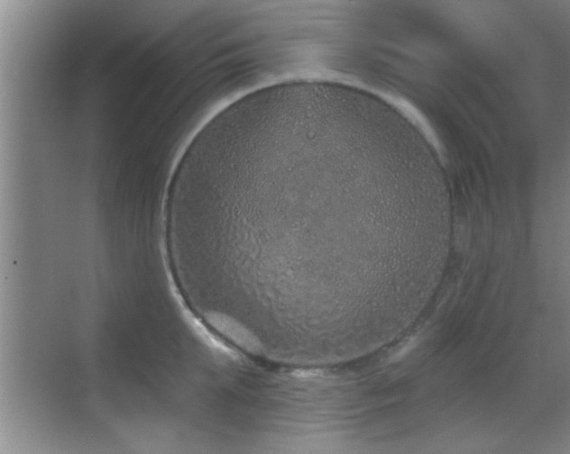 X0000069790903200605191035