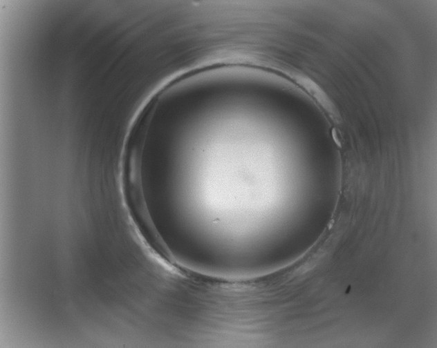 X0000069790904200605191035