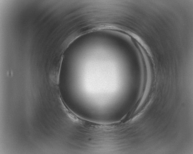 X0000069790905200605191035