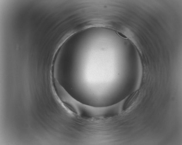 X0000069790906200605191035