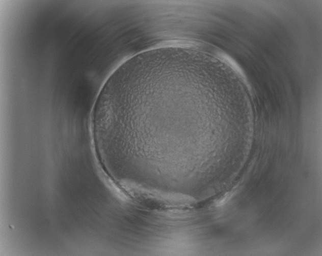 X0000069790907200605191035