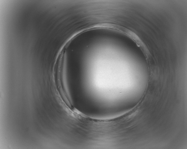 X0000069790908200605191035