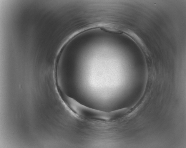 X0000069790910200605191035