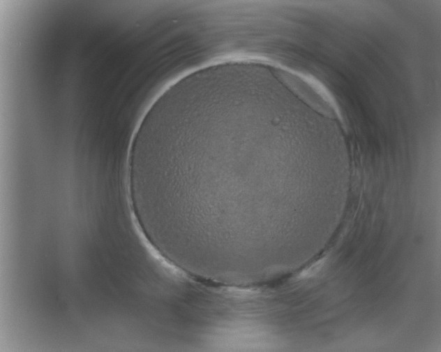 X0000069790911200605191035