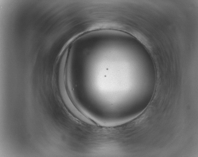 X0000069790912200605191035