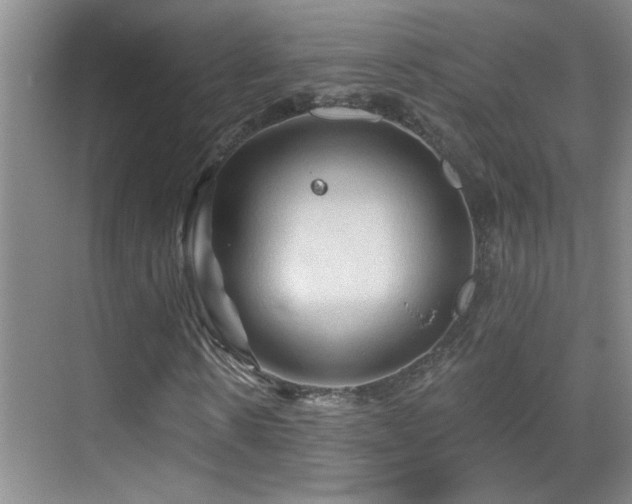 X0000069790914200605191034