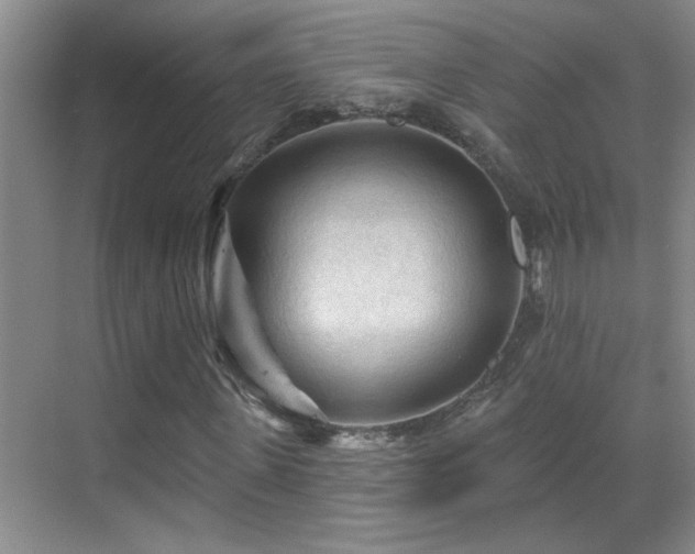 X0000069790915200605191034