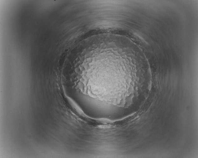 X0000069790917200605191034